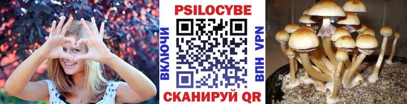 Псилоцибиновые грибы мухоморы  Купить  Грайворон 